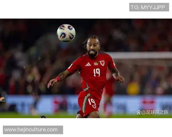 威尔士足球明星有哪些代表性球员及其成就分析
